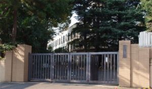 who 渋谷健司　再婚　嫁